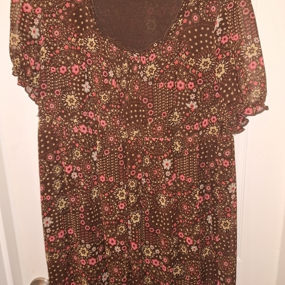 Taillissime Brown Sheer Long Dress 14W - Picture 4 of 5